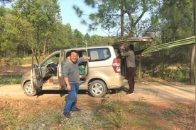 五菱宏光什么货都能拉吗？看完农村老司机的神操作，不服都不行！