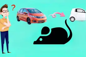 看着不起眼的飞度为什么能成为神车？