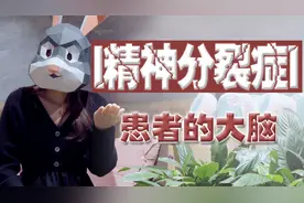 精神分裂症，分裂出的是什么？大脑为什么会产生妄想幻觉？