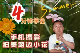 用手机拍路边小花，漂亮极了，手把手教会你