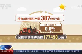 国家统计局 13731亿斤！我国粮食产量再创新高视频封面