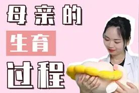3分钟带你了解，女人怀孕全过程视频封面
