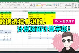 Excel技巧：数据透视表进阶，计算字段和计算项视频封面