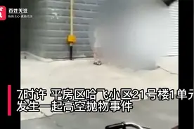 哈尔滨一小区高空掉落酸菜缸压缸石砸中路人 警方已介入视频封面
