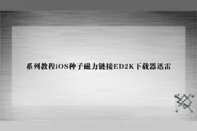 系列教程iOS种子磁力链接ED2K下载器迅雷【转载】