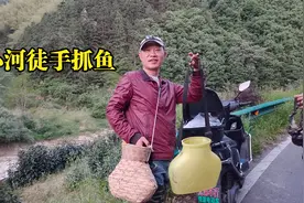 黑夜在小河里徒手抓鱼，小伙技术好一抓一个准，这鱼抓得真过瘾视频封面