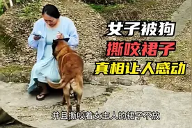 女子被狗撕咬裙子！真相让人感动！视频封面