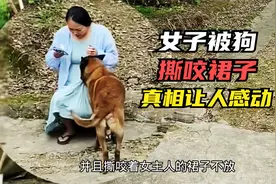 女子被狗撕咬裙子！真相让人感动！视频封面