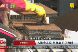 人勤春来早 从化春耕正当时视频封面