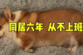 同居快六年了，他不上班全靠我养视频封面