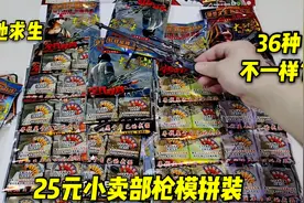 25元小卖部绝地求生枪模，36种拼装模型，还有精致的八倍镜视频封面
