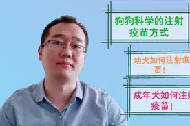 生活大百科之狗狗几个月打疫苗？宠物医生教你科学的给狗狗打疫苗视频封面