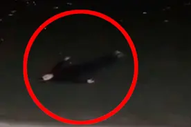 命大！男子醉酒后在江上安静漂浮 幸被路人发现视频封面