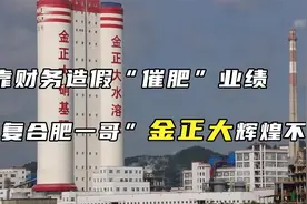 靠财务造假“催肥”业绩，“复合肥一哥”金正大辉煌不再视频封面