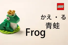 乐高拼装教程小青蛙  简单易学的小玩具 11717