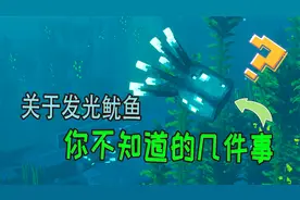 我的世界：关于发光鱿鱼，你不知道的几件事