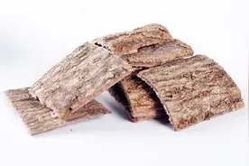 杜仲有哪些功效与作用？#春季养生正当时#