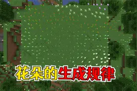 我的世界：你可能不知道的冷知识，花朵的生成规律！