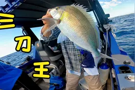 60米深海有鱼咬钩，竟是“成精”三刀鱼王，太大了