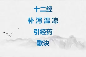 十二经用药歌诀举例，绝对是中医前辈总结好的经验，建议收藏备用