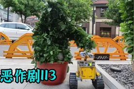 如何说服对象 证明这个“树人”是真的【恶作剧挑战113】视频封面