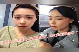 搞笑合集：家里螃蟹跑到楼下邻居家，把人小泰迪的毛都给屡直了视频封面
