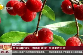 冲上热搜：中国杨梅60元一颗出口迪拜？当地果农回应！视频封面