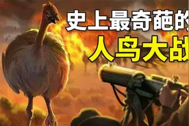 两挺机枪加上10000发子弹，能消灭2万只，不会飞的大鸟吗？视频封面