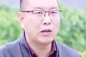 桑叶不仅用来养蚕，还可以泡茶做饮料，有清肝明目排毒降三高功效视频封面
