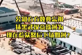 公知方方数典忘祖，抹黑武汉意欲何为？现在惹众怒后下场如何？视频封面