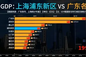 GDP比较：把上海浦东新区放在广东各市中能排第几名？