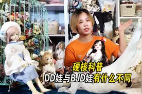 娃圈硬核科普：DD娃与BJD娃有什么不同