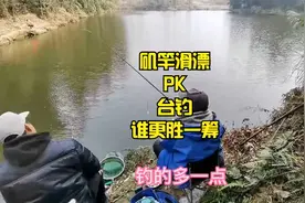 矶竿滑漂PK台钓，谁会更胜一筹，你钓鱼喜欢台钓还是矶竿滑漂钓法视频封面