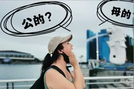 中国游客去到新加坡必定打卡的鱼尾狮公园，那狮子是公的还是母的视频封面