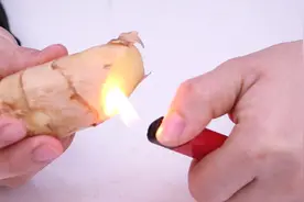 打火机烧一烧生姜，用途花钱也难换！好多人不懂有啥用，涨知识了视频封面
