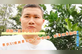 果农们使用磷酸二氢钾这个配方，果实膨大期喷2遍，膨果效果翻倍视频封面