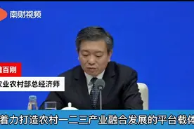 农业农村部：着力打造农村一二三产业融合发展平台载体视频封面