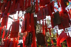 北京微度假——“门头沟小院的悠闲时光”视频封面