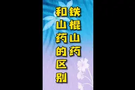 铁棍山药和山药的区别视频封面
