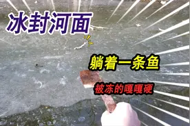 被冰封的小河上面，竟然躺着一条被冻得嘎嘎硬的鱼，这是怎么回事视频封面