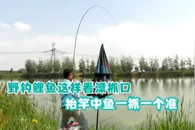 野钓鲤鱼漂相解析，能读懂这些浮漂动作，抬竿中鱼越钓越过瘾！视频封面