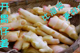 嫩姜我只服四川这种做法，简单鲜脆还开胃下饭，比四川泡菜还好吃