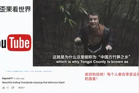 英国小哥潜入贵州竹林深处找野生竹笋吃 网友：这才是真的美味视频封面