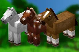 我的世界马冷知识！一期视频了解所有关于马的知识！