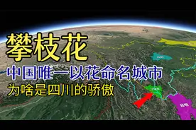 不为人知的避寒圣地攀枝花，为啥是四川的骄傲？视频封面