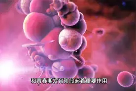 雄性激素对男性有多重要？50岁后易缺乏，教你4招补充视频封面