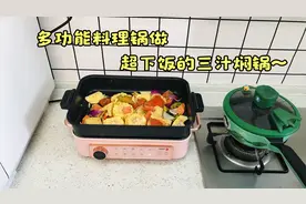 第一次用网红多功能料理锅做三汁焖锅，成本只需30块钱，超好吃