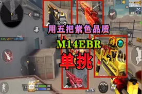 CF手游：用五把冷门紫色品质“M14EBR系列武器”来单挑