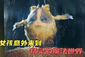 奇幻电影：女孩意外去到了魔法世界，并拯救了这个世界的精灵视频封面