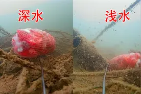 初冬早上钓鱼是钓深水好？还是浅水好？视频封面